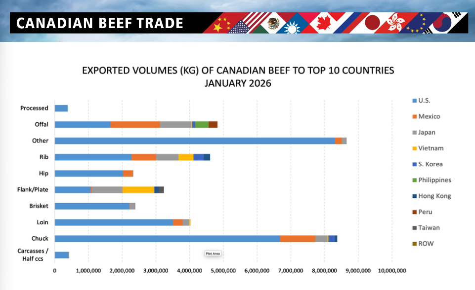 截圖 2026 04 10 下午4.03.20