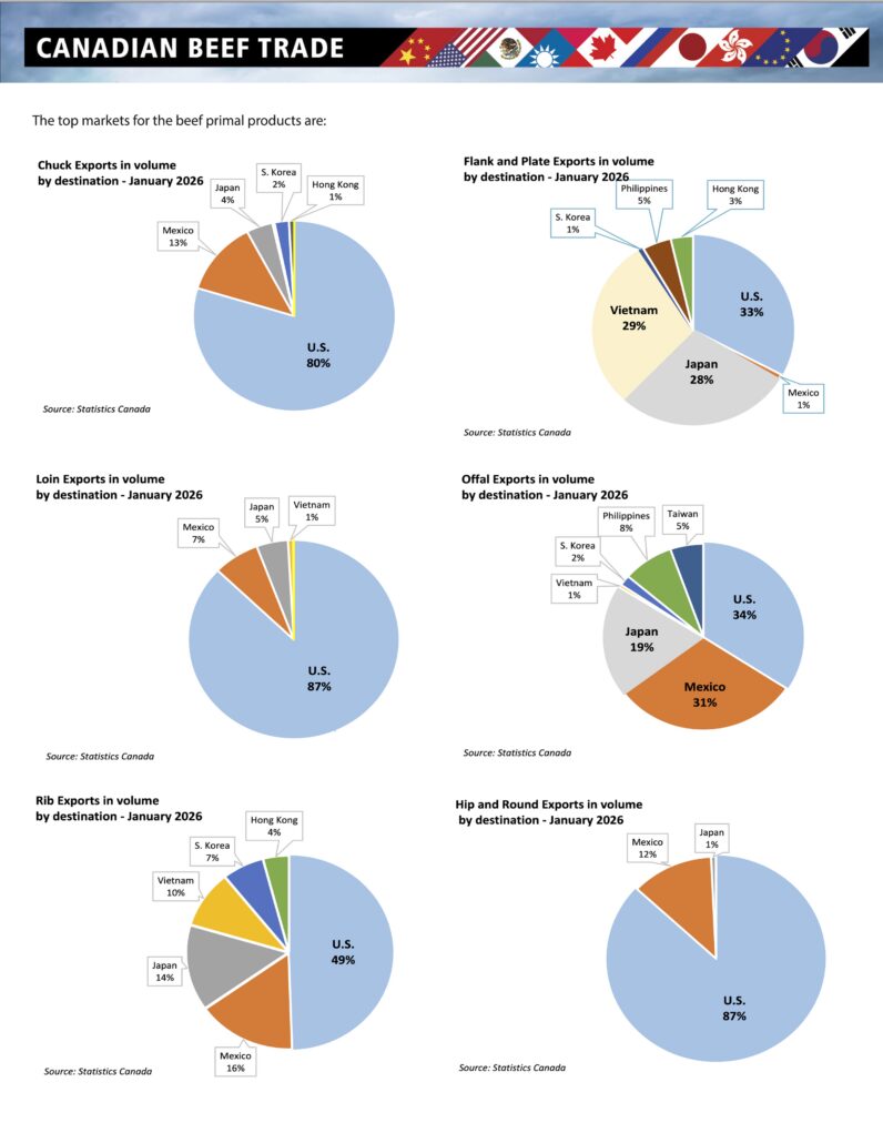 Canadian Beef Trade Report of Exports in January 2026 2