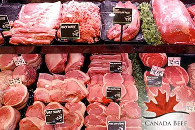 canadian beef centre of excellence rnd 2