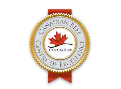 centre of excellence logo